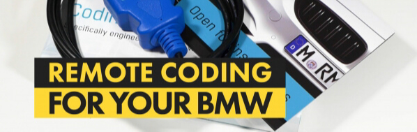 BMW coding: Esys vs Carly vs BimmerCode