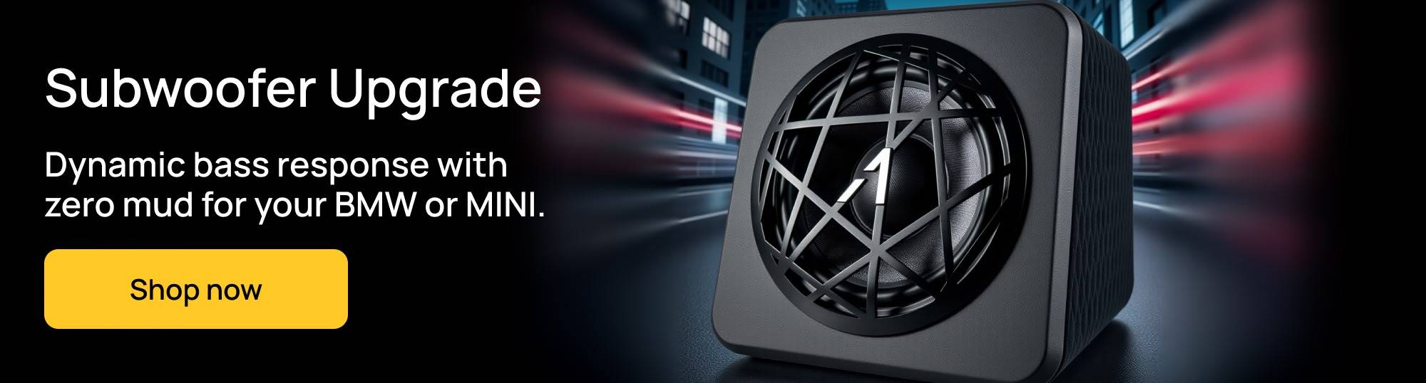 Alpha One SUB10 Subwoofer banner