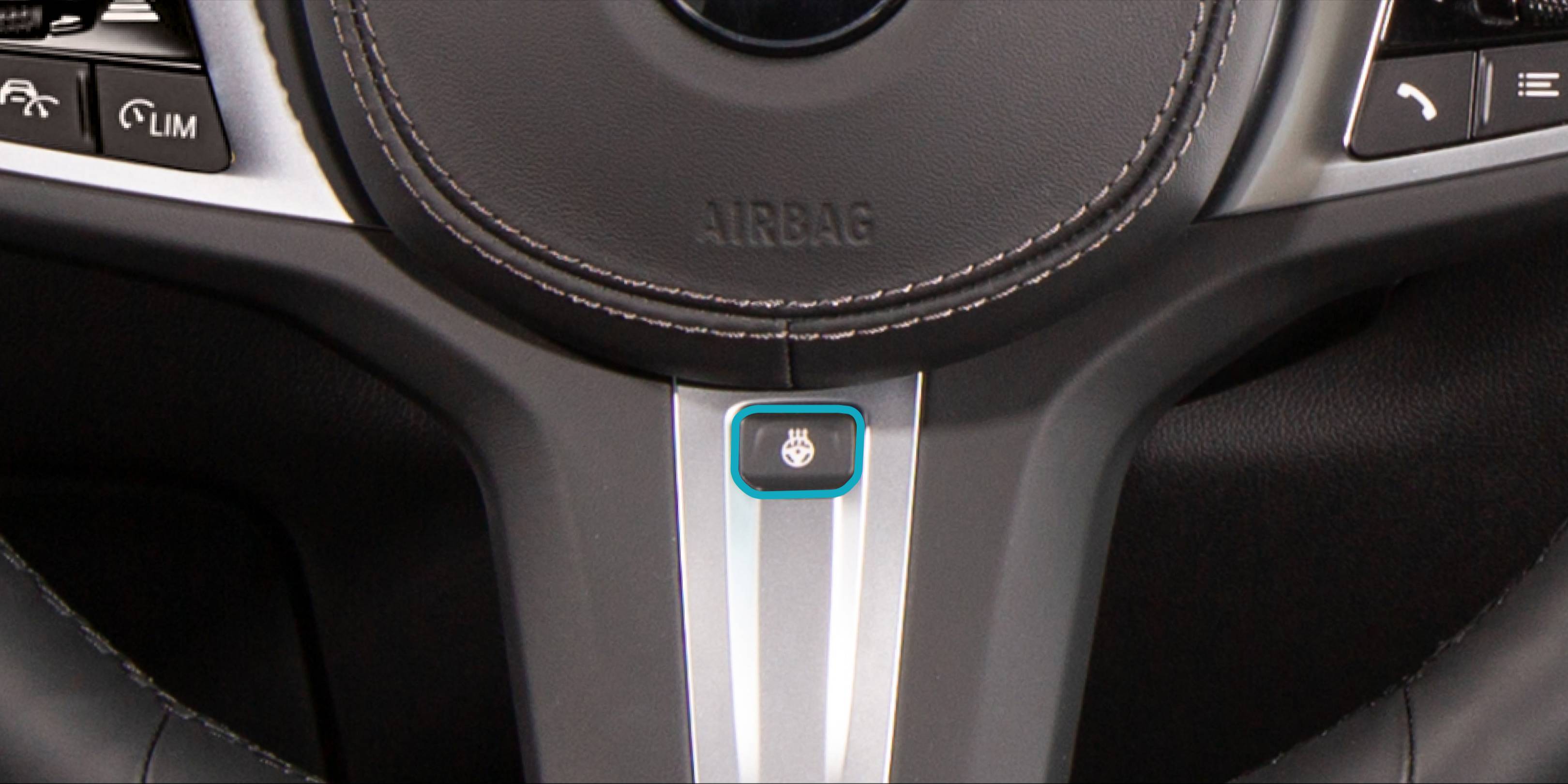 BMW steering wheel heating button
